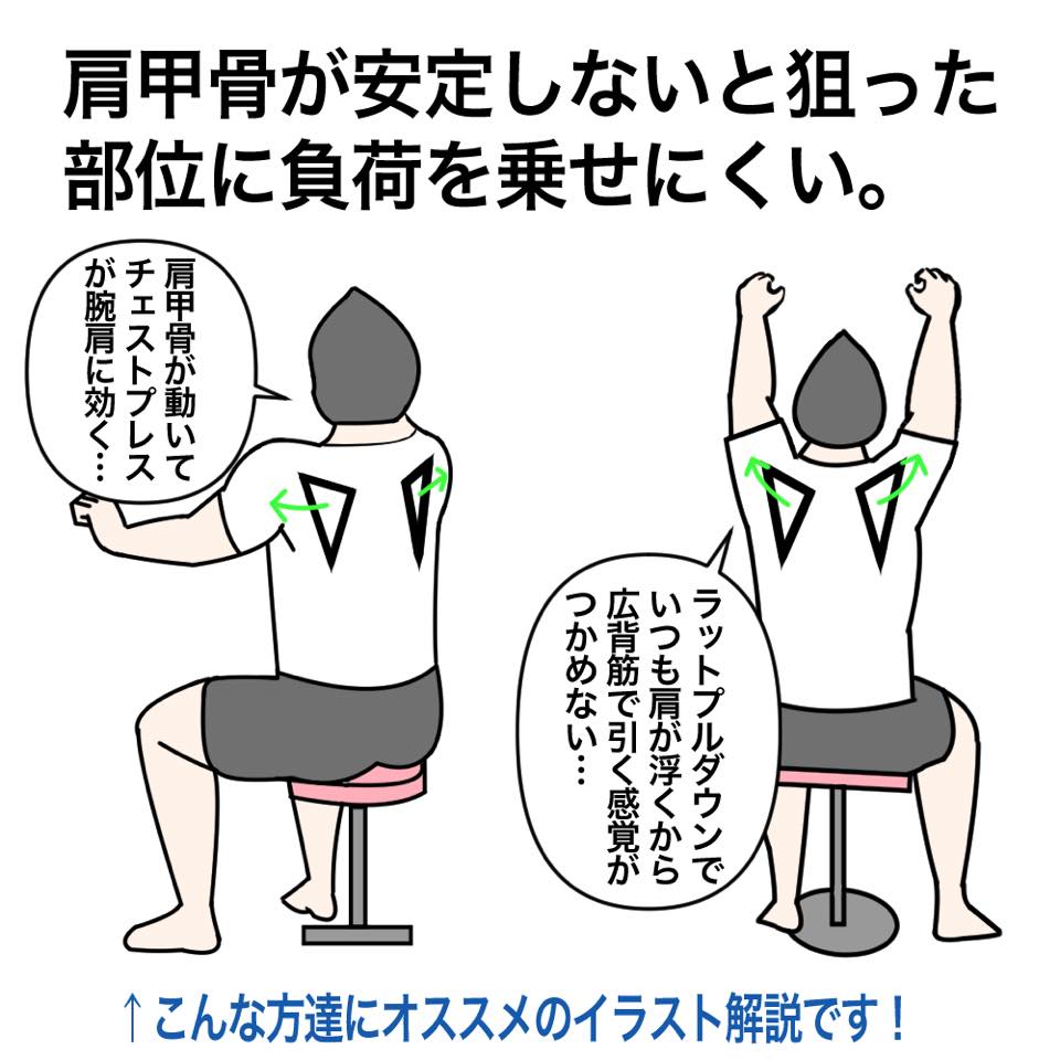肩甲骨のコントロール Key Fit 肩甲骨のコントロール Key Fit