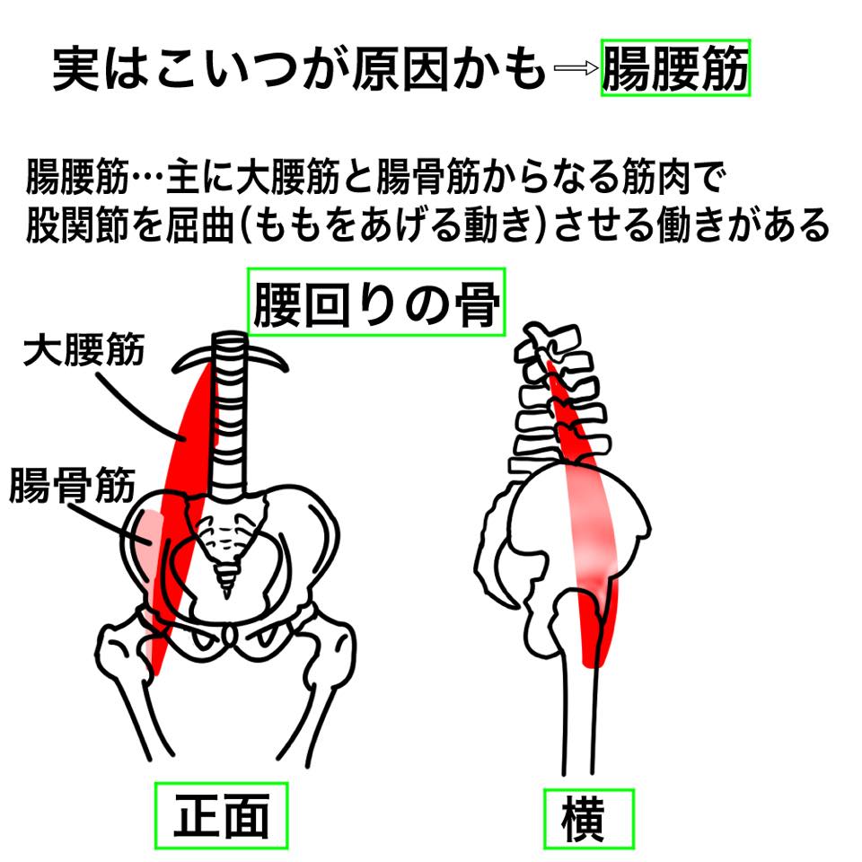 腹筋で腰が痛い方向けイラスト解説 Key Fit 腹筋で腰が痛い方向けイラスト解説 Key Fit